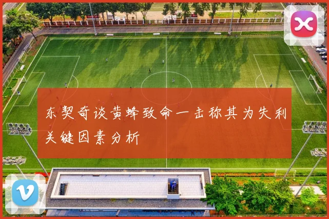 东契奇谈黄蜂致命一击称其为失利关键因素分析