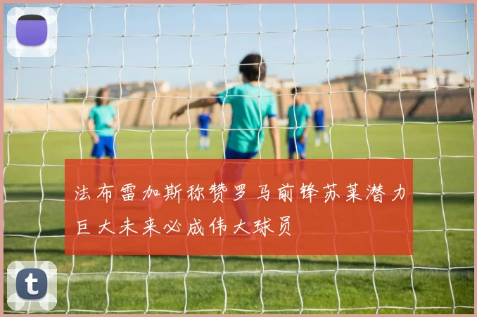 法布雷加斯称赞罗马前锋苏莱潜力巨大未来必成伟大球员